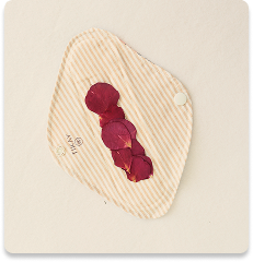 Categoria Principal Cuidado Femenino