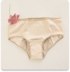 Categoria Principal Ropa Interior